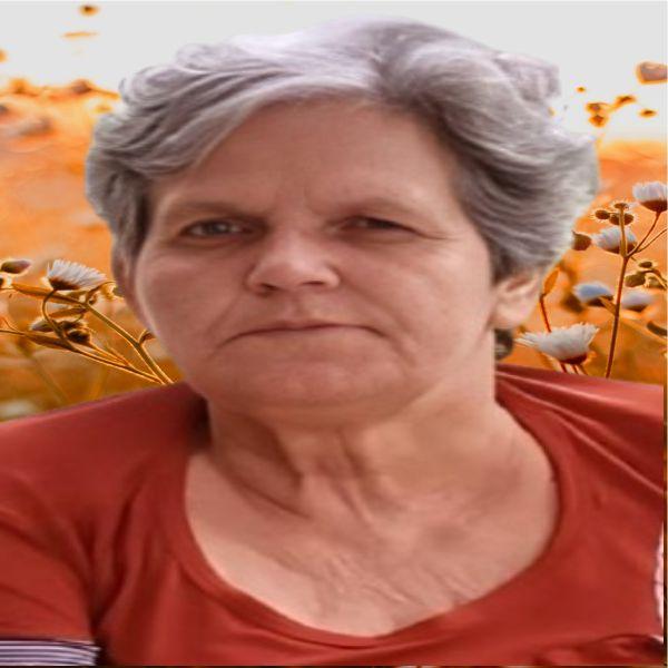 ALZIRA JOSÉ PEREIRA MORAES