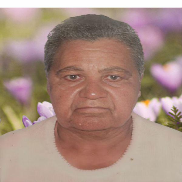 DINORÁ DE SOUZA SILVA