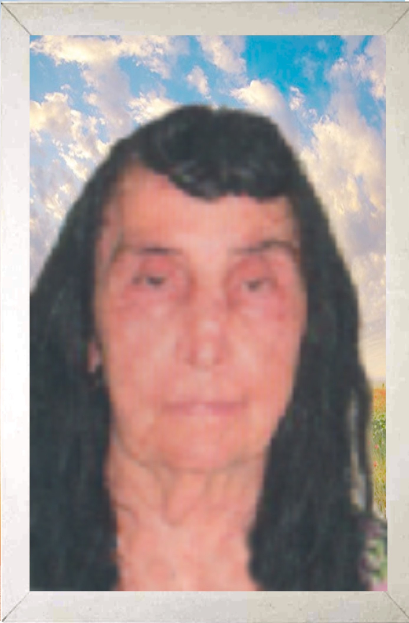 Aparecida Martinez Hernandes