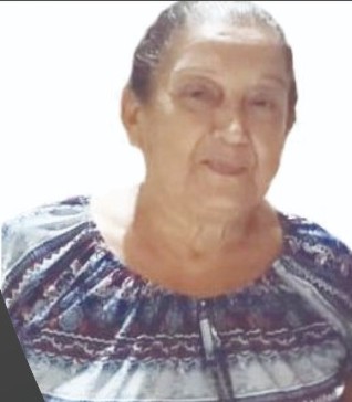 Maria Lourdes Santos Fernandes