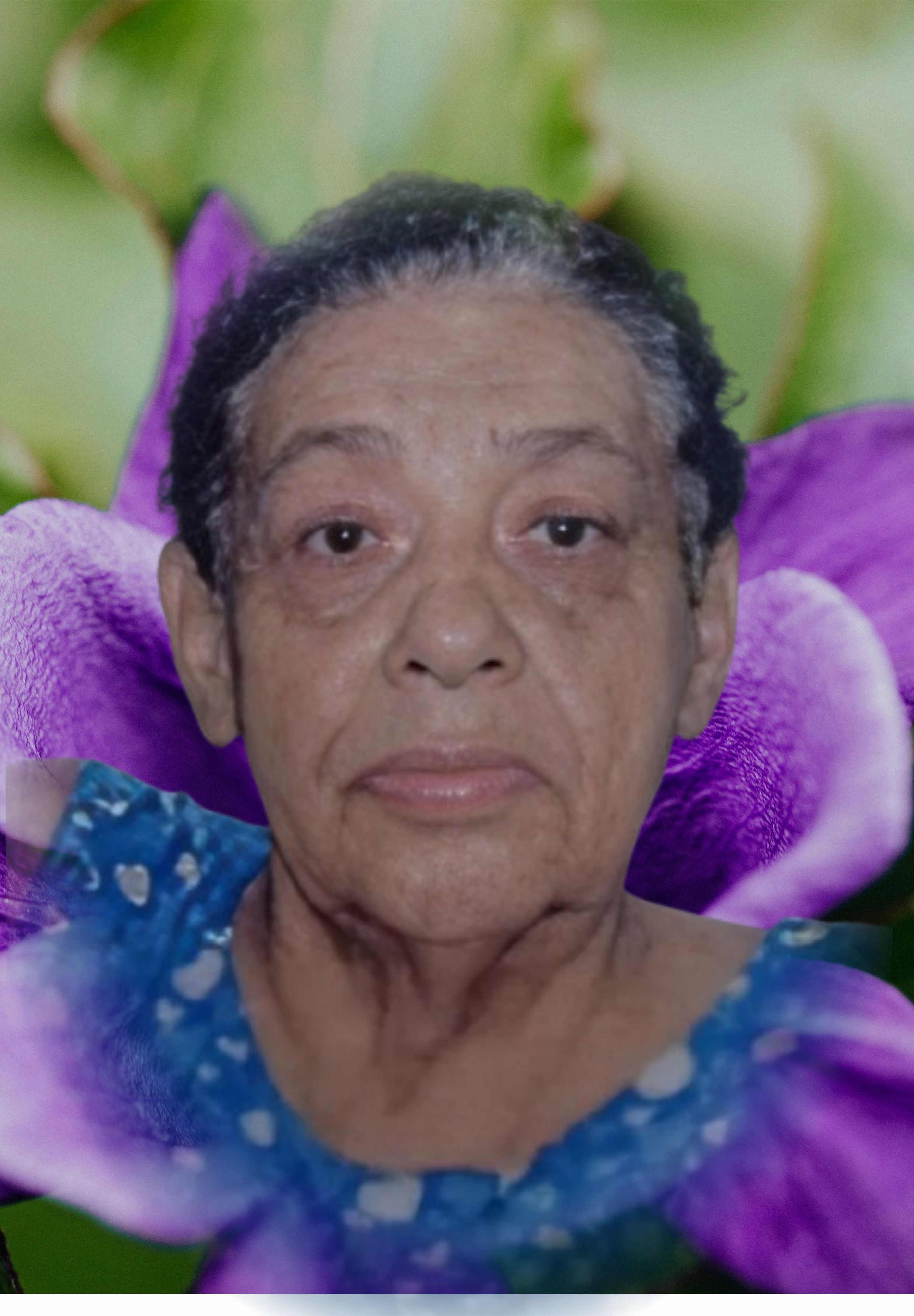 MARIA FERREIRA ALVES DA SILVA