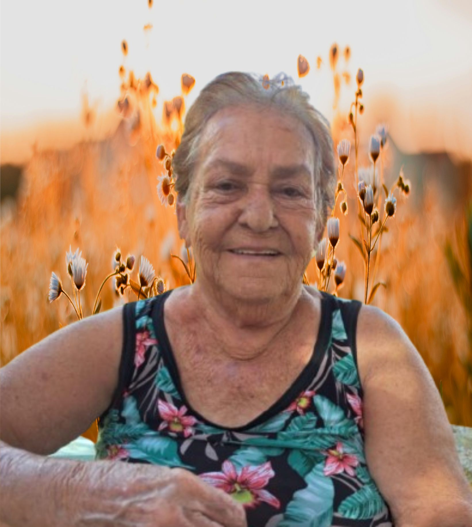 ANA CANDIDA ALVES BATISTA