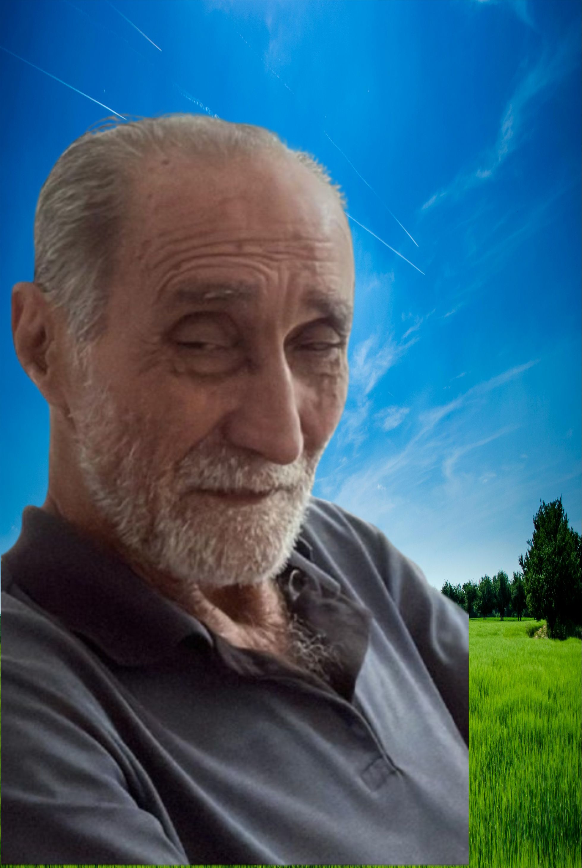 Nelo Reginaldo Batista