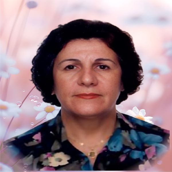 ALZIRA RIBEIRO BERETTA