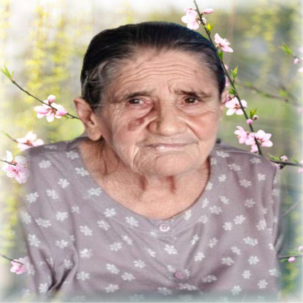 MARIA APARECIDA GARCIA DA SILVA 