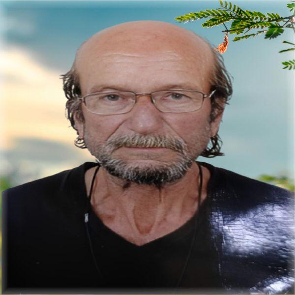 José Pereira Magalhães