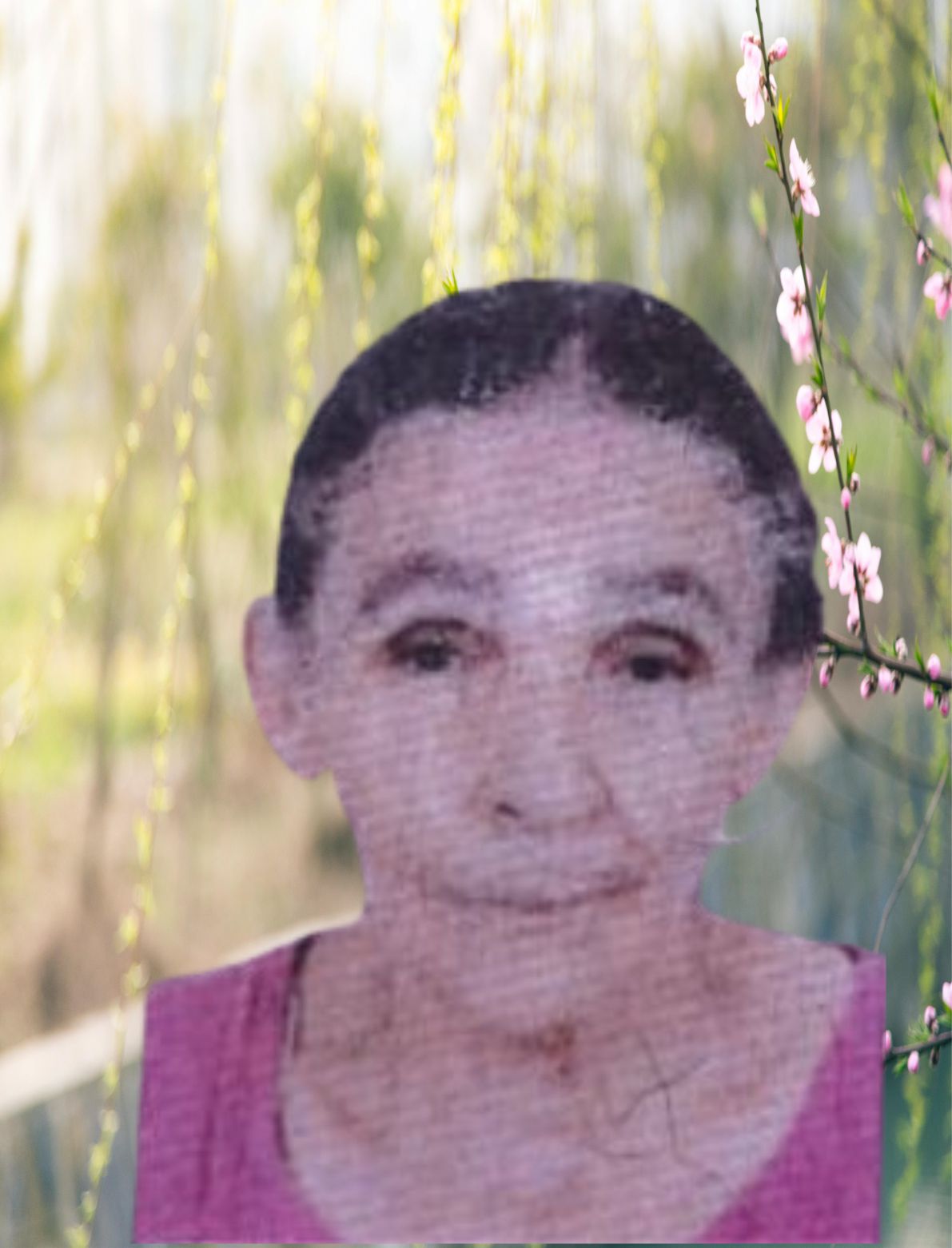 MARIA SOCORRO ALVES MOREIRA FELICIANO