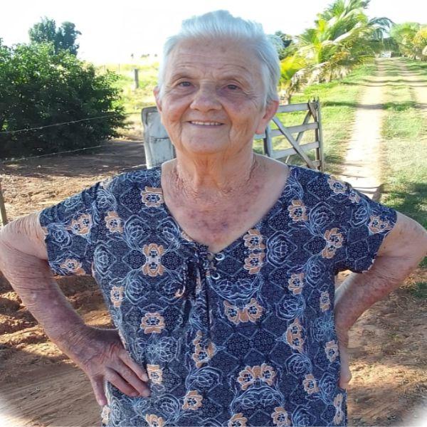 NAIR CRISTO DE ALMEIDA