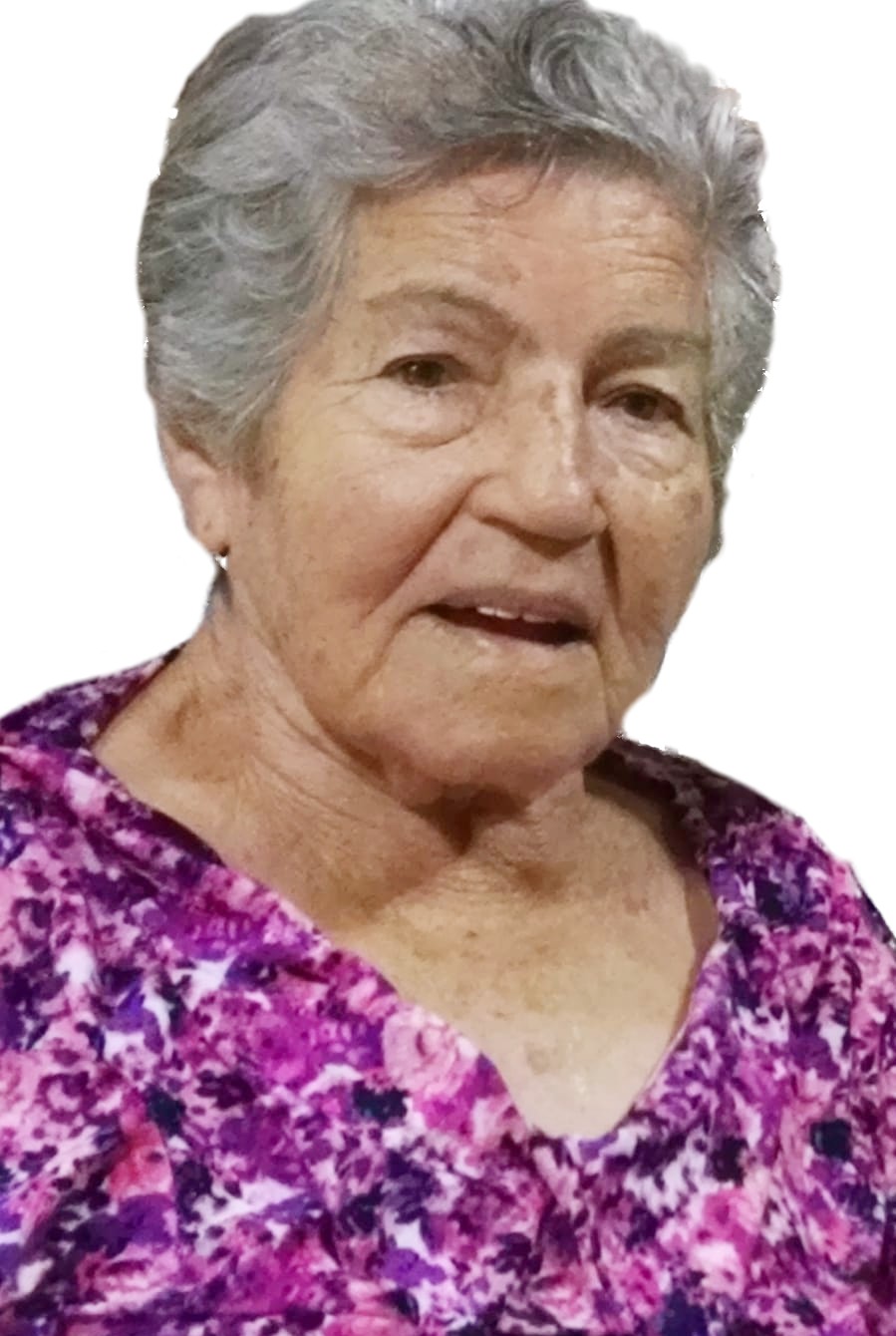 Aparecida Batista Montresol