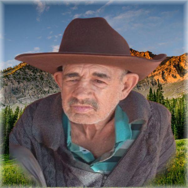 VALDEMAR BARBOZA DE LIMA