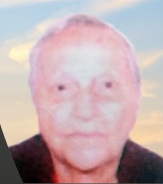 Deolinda Vasconcellos Ferreira