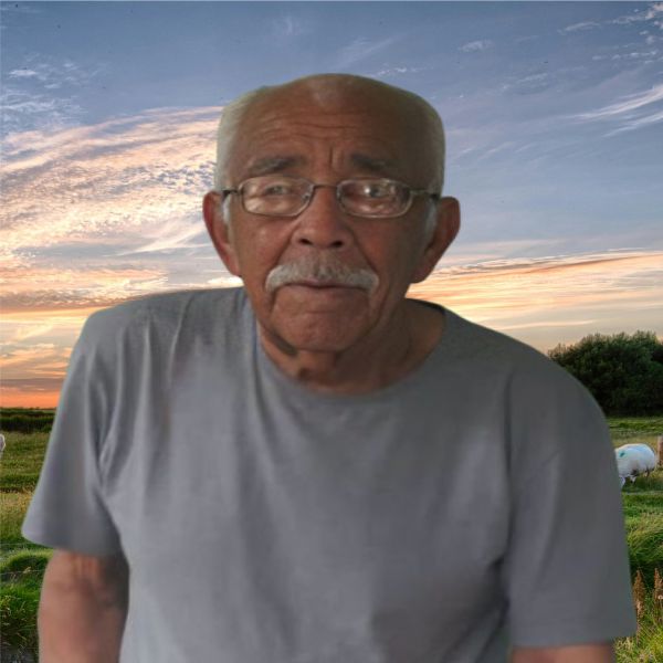 MANOEL INÁCIO DOS SANTOS