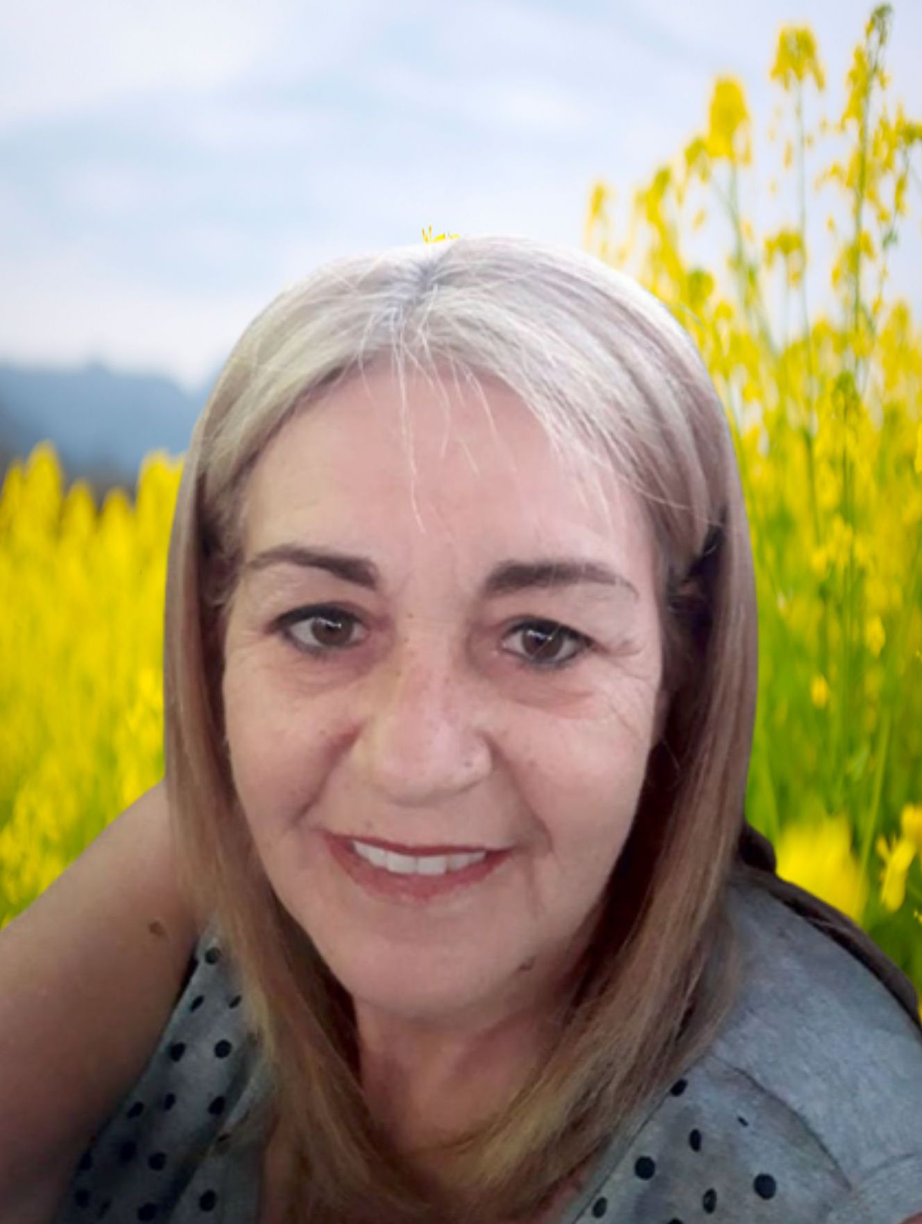 Marlene Ap. da Quinta Botelho Martins