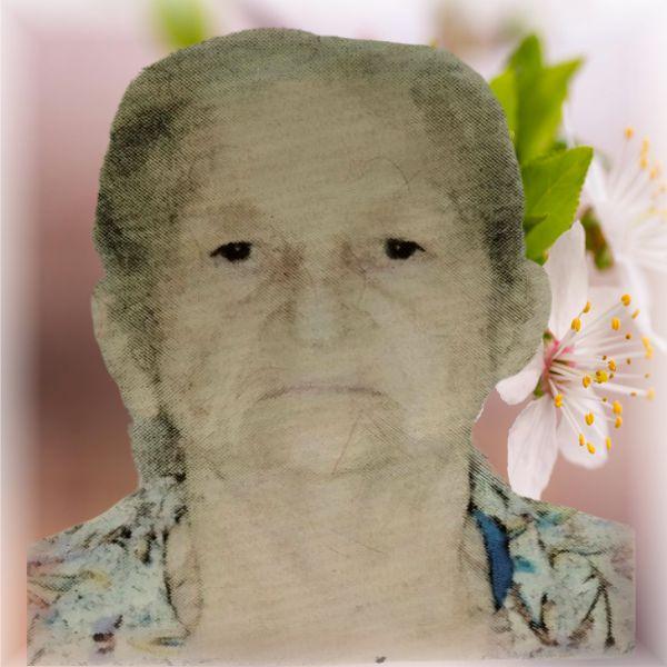 LEONOR APARECIDA ARGERI JUNIOR