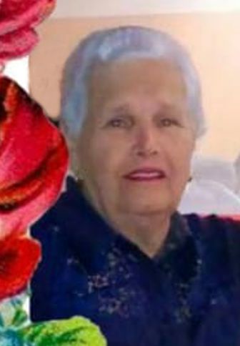 Dina Maria de Araujo