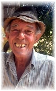 José João Domingues