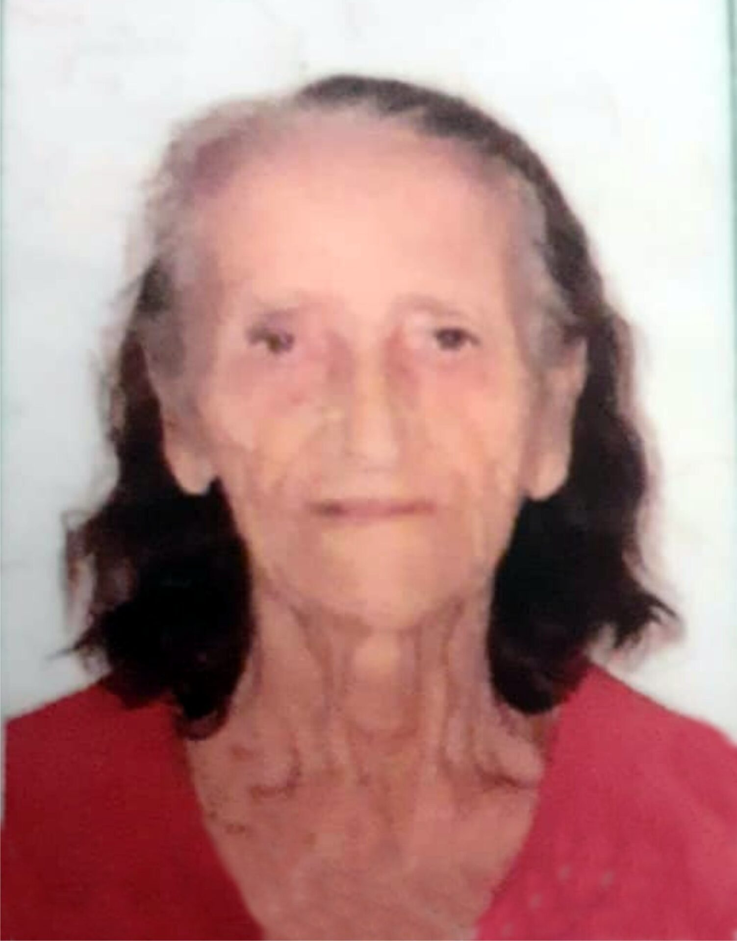 Aparecida Lopes Pavin