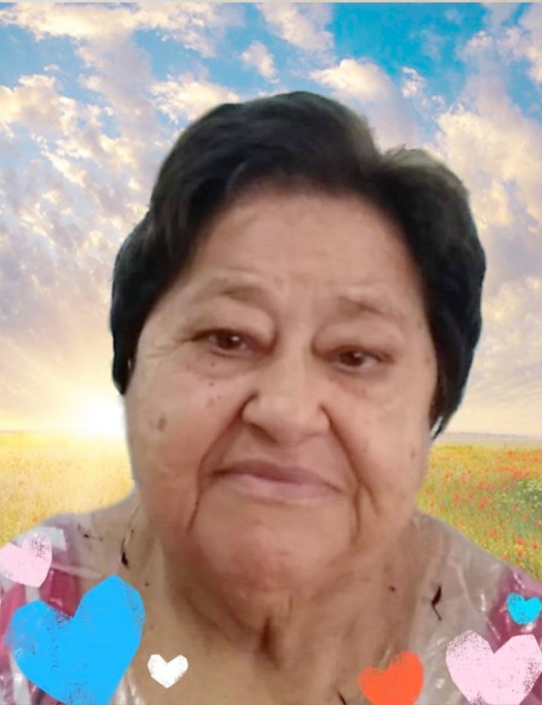 Aparecida Neris Viana