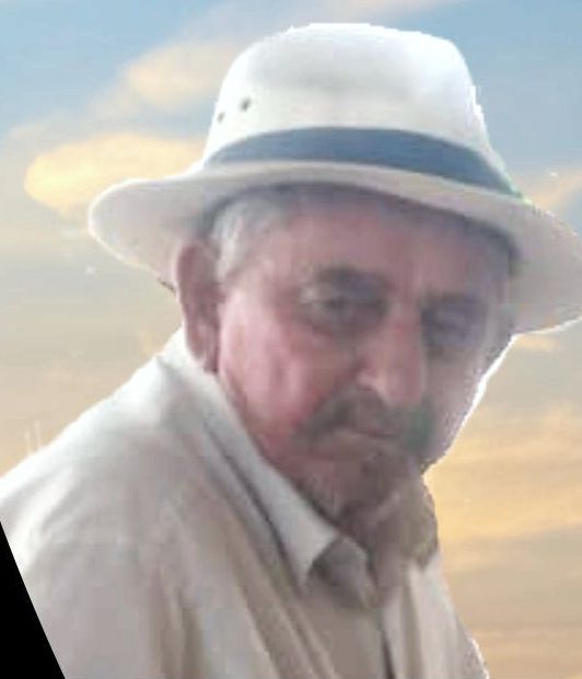 Hélio Perez Montanhani