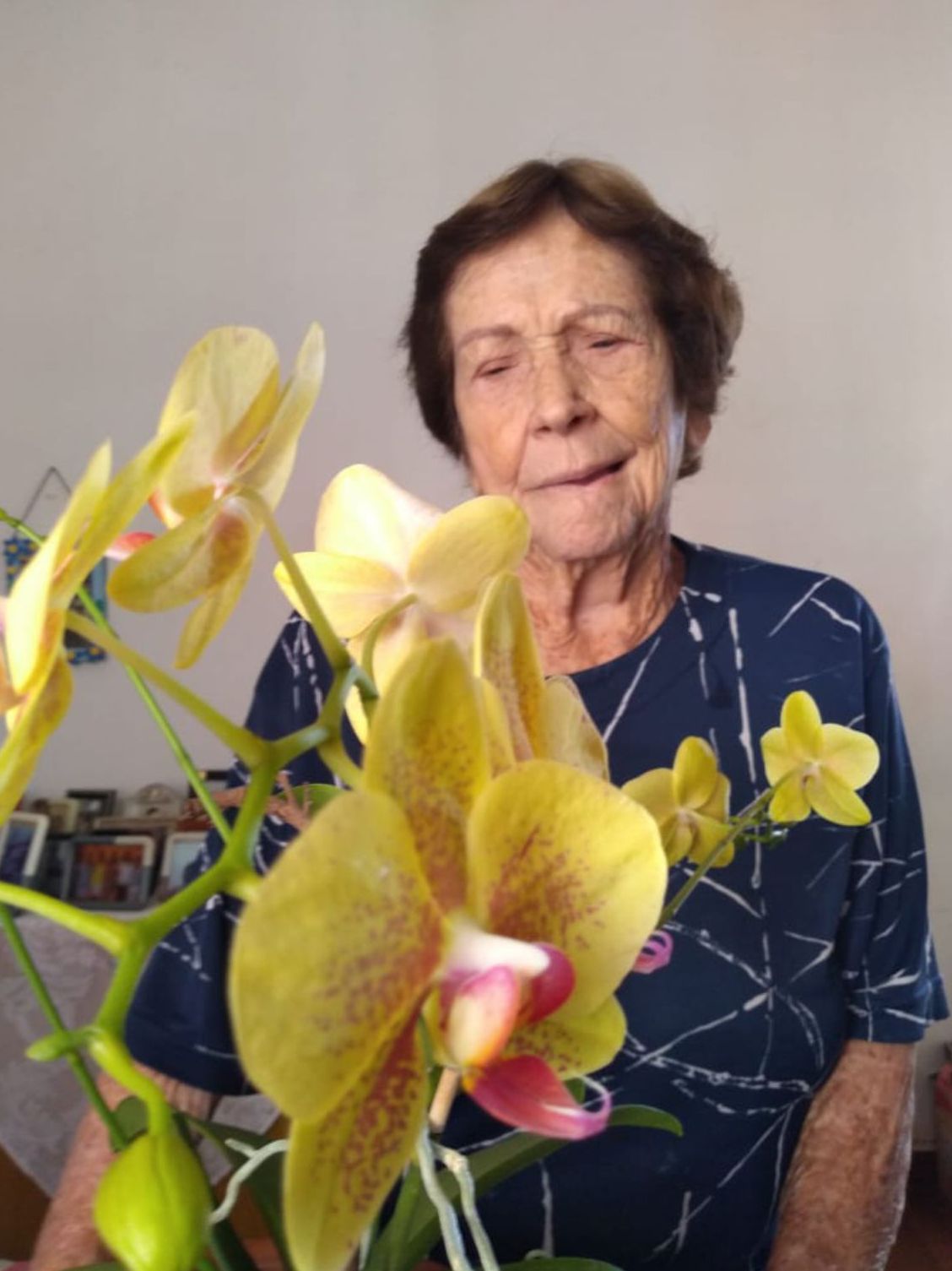 Maria das Dores Bonzanini Salvador