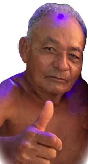 José Mendes da Silva