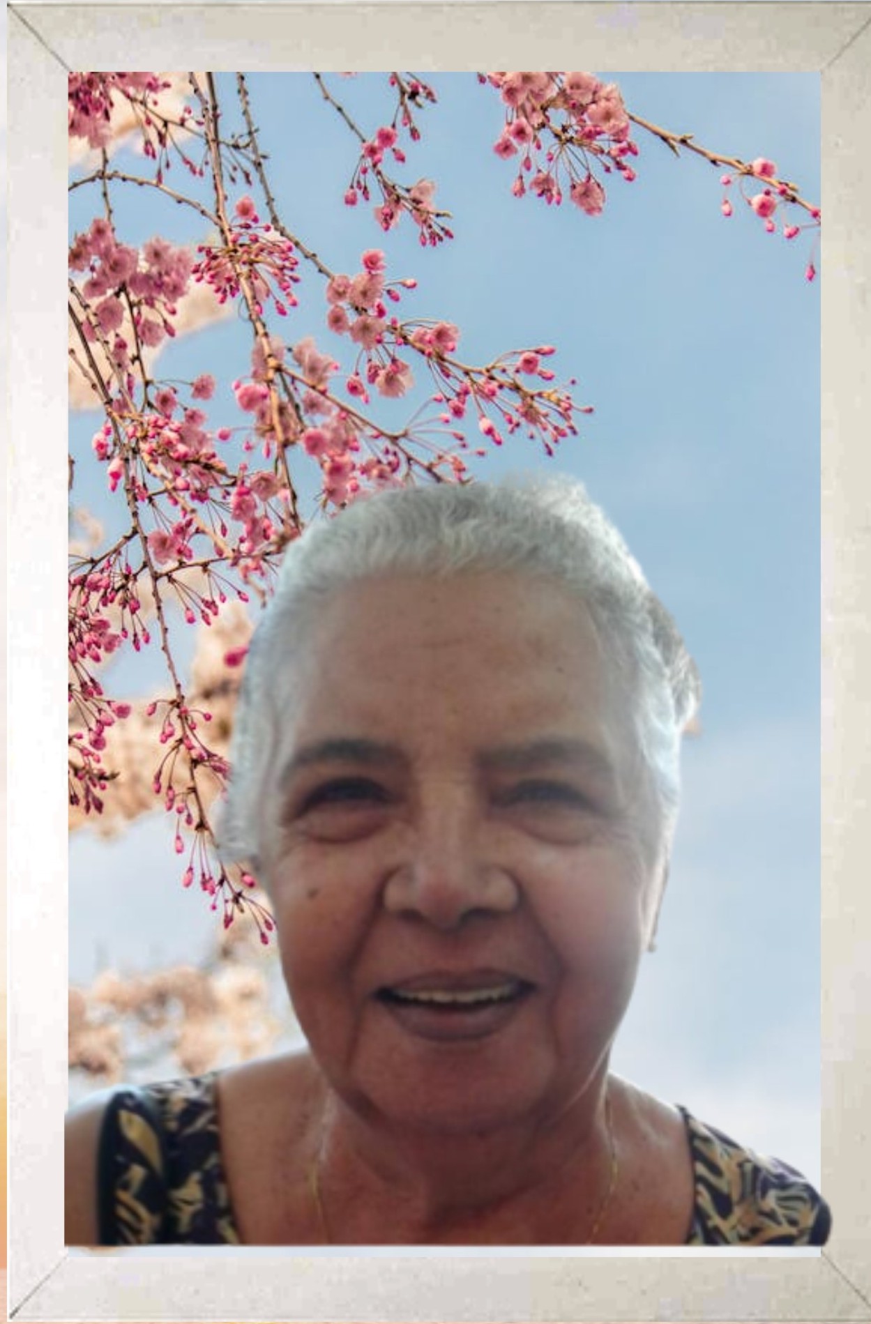 Horaide Aparecida Moralles de Souza