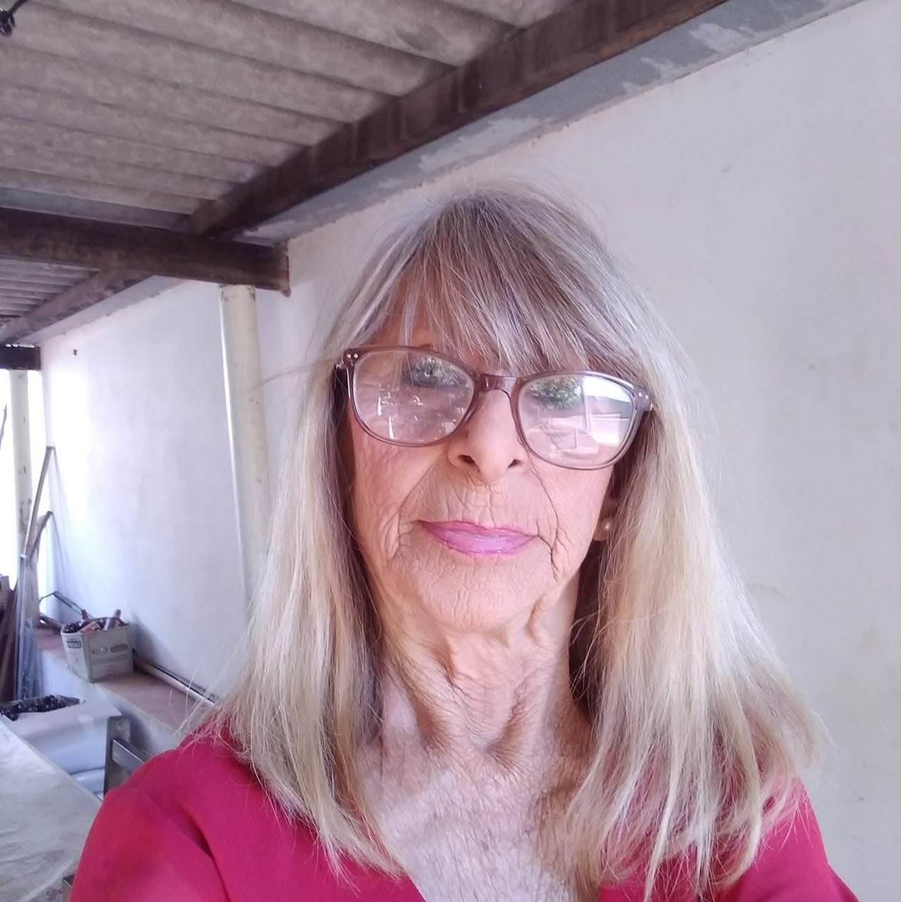 HAIDEE TREVISAN