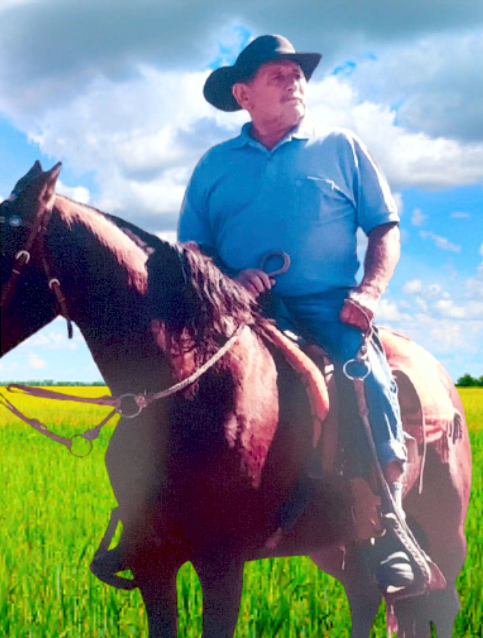 Wilson Nunes Falcão