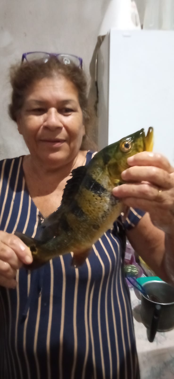 Nilse Aparecida de Oliveira Silva