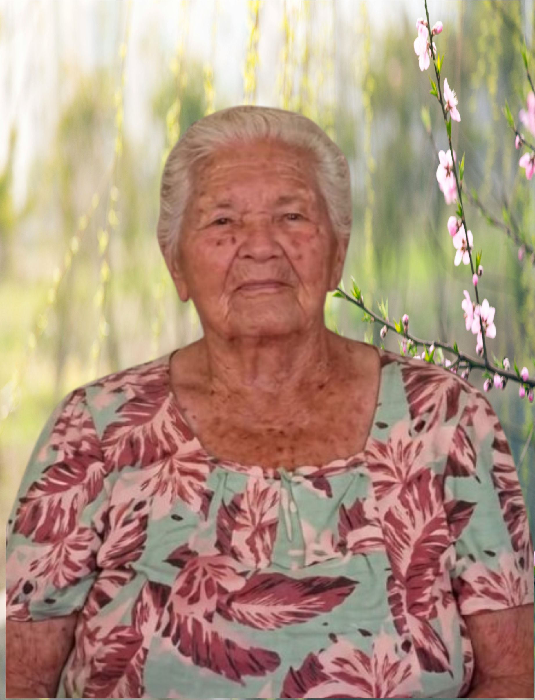 Aderlina Rosa Bastos Santana