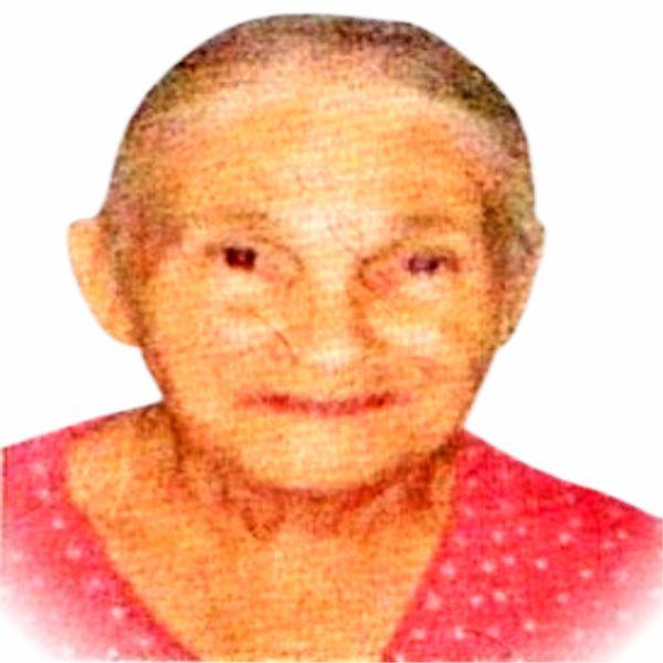 Teresa Grefiner Ferreira