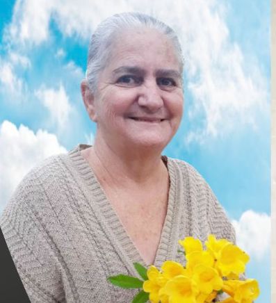 Sueli Aparecida Custódio Alves